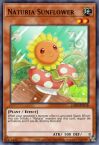 Naturia Sunflower