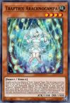 Traptrix Arachnocampa