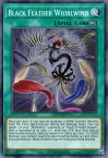 Black Feather Whirlwind