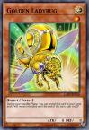 Golden Ladybug