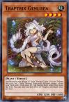 Traptrix Genlisea