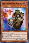 Skilled Brown Magician