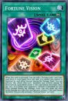 Fortune Vision