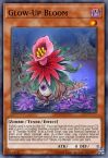 Glow-Up Bloom