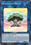 Sunavalon Dryas