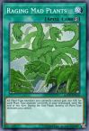 Raging Mad Plants