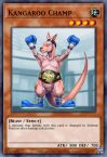Kangaroo Champ