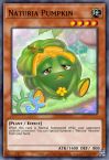 Naturia Pumpkin